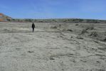 PICTURES/Bisti Badlands in De-Na-Zin Wilderness/t_First Look - Mudflats1.JPG